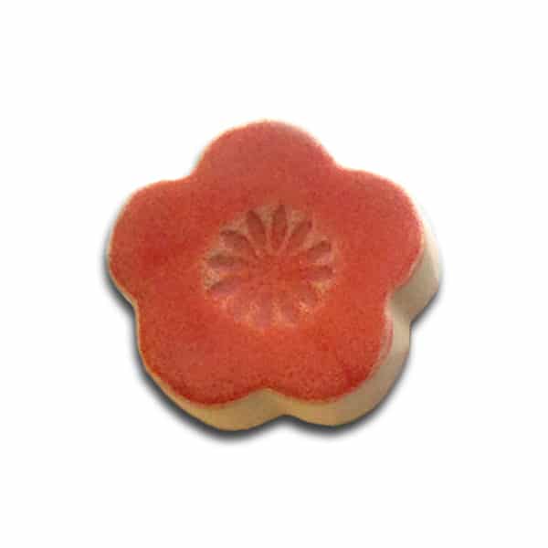 Cherry Salmon 1401