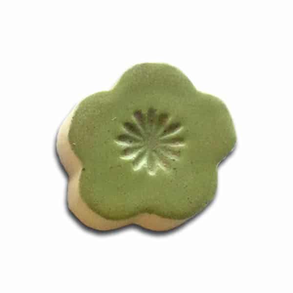 Wasabi 1404