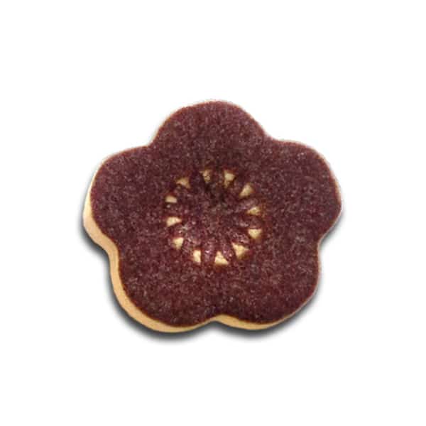 Aubergine 1407