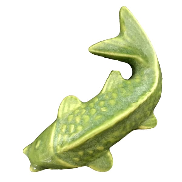 Cactus 1438