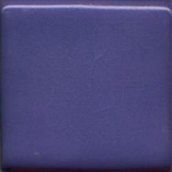 Blue Pansy