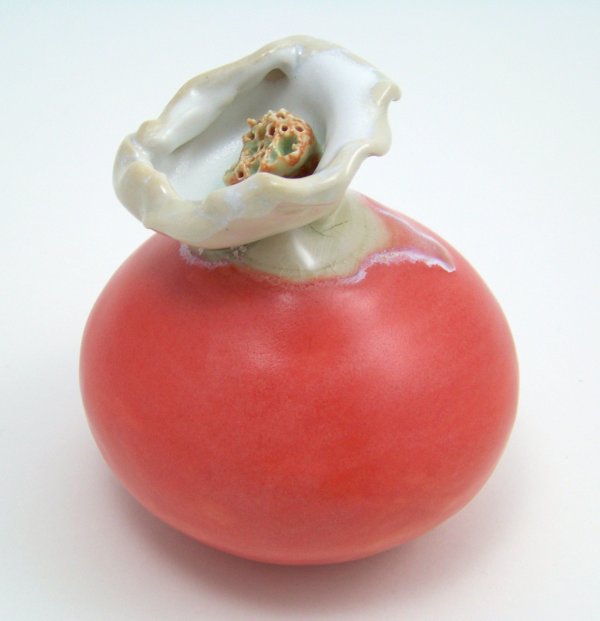 Coral Satin
