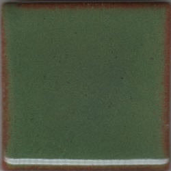 Green Shino