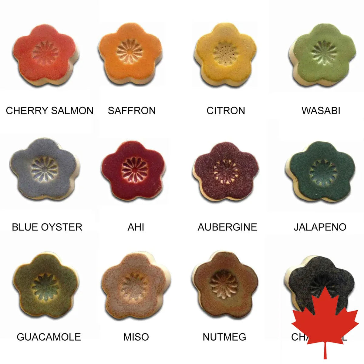 1400 Series - Shino Glaze Sample Set – Of Earth Pottery Supply