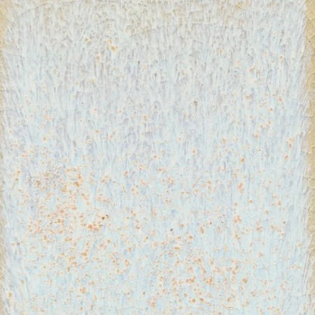 Star Dust